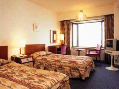 Hikone View Hotel Buitenkant foto